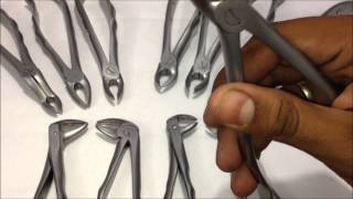 Tooth Extraction Forceps  Upper and Lower 12 Forceps Kit  GDC [upl. by Furlani]