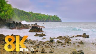 3 HRS Incredible Diversity of the Big Island Hawaii  8K Relaxation Video  Nature Sounds  Part2 [upl. by Tabib]