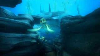 A TURTLES TALE  Shark  Film Clip [upl. by Ninos331]