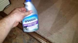 Woolite Pet Stain and Odor Remover Plus Oxy Carpet Cleaning [upl. by Arorua171]