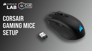 How To Set Up CORSAIR Gaming Mice in iCUE [upl. by Ohaus]