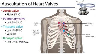 Cardiac Auscultation [upl. by Volin]