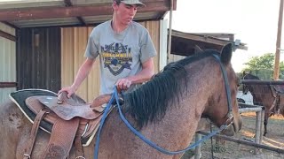 Horse Training  First Ride First Mount [upl. by Nosduh]