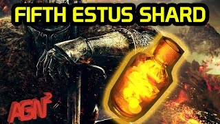 Dark Souls 3  Fifth Estus Shard Location Farron Keep Bonfire [upl. by Itak]