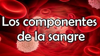 Los componentes de la sangre [upl. by Lull]