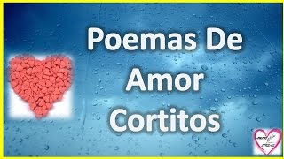 Poemas De Amor Cortitos Para Enamorar A Mi Novia [upl. by Orelee]