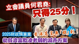 【華哥好政經】2025財政預算案分析／立會議員何君堯話只得25分！／劫貧濟富欺凌老弱的減赤方案／香港高官無腦到！ [upl. by Thea]