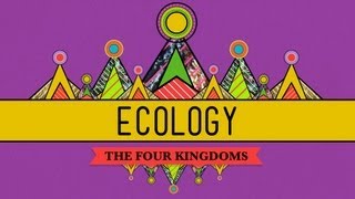 Ecology  Rules for Living on Earth Crash Course Biology 40 [upl. by Noyart]