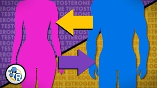 Hormones and Gender Transition [upl. by Vassell]