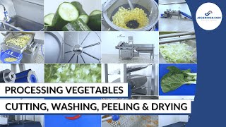 Vegetable Processing Machines  Peeling Cutting Washing and Drying  Compilation Jegeringscom [upl. by Airehs441]