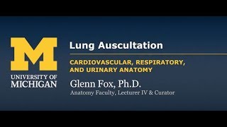 Demonstration Lung Auscultation [upl. by Notluf]