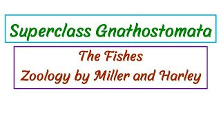 Superclass Gnathostomata  Jawed Vertebrates [upl. by Atteiluj]