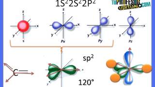 Hibridación de los Orbitales del Átomo de Carbono  Lección Teórica [upl. by Enoitna331]