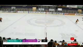 Squirt B vs Cloquet Gold [upl. by Aiuoqes]