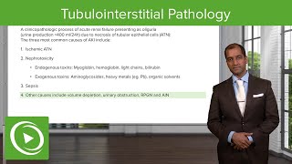 Tubulointerstitial Pathology – NephrologyFoundations  Lecturio [upl. by Anigal]