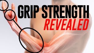 Grip Strength and Forearm Training Revealed A Scientific Breakdown [upl. by Sass]