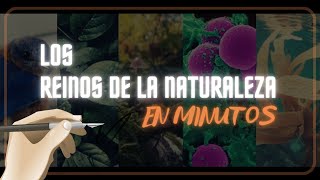 LOS 5 REINOS DE LA NATURALEZA en minutos [upl. by Chrisoula]