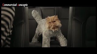 top 5 Cat funny car commercials [upl. by Gemperle]