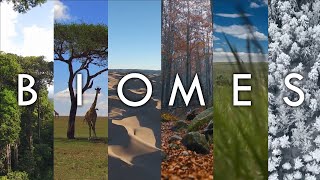 Biomes  The Living Landscapes of Earth Introduction To Biomes Of The World Geodiode [upl. by Brannon]