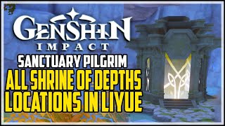 Genshin Impact All Shrine Of Depths Locations in Liyue Sanctuary Pilgrim Achievement [upl. by Drew]