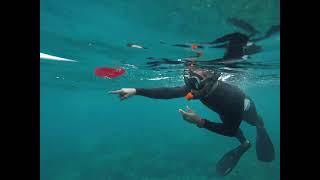 Malapascua island snorkeling 2 [upl. by Meneau]