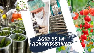 ¿Qué es la agroindustria [upl. by Ariay]