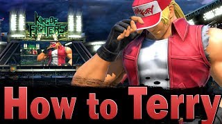 Smash Ultimate How to Terry [upl. by Ann]