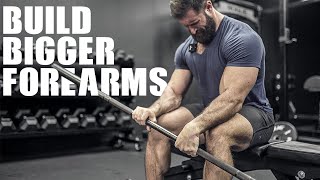 How To Build BIGGER FOREARMS 6 INTENSE EXERCISES [upl. by Eimile]