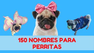 150 NOMBRES CORTOS PARA PERRITAS  MEJORES NOMBRES PARA PERRAS [upl. by Aneehta56]