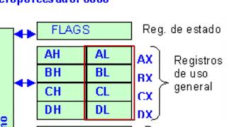 Funcionamiento De Los Registros Del CPU [upl. by Hooper669]