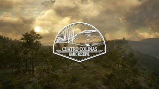 theHunter Call of the Wild  Cuatro Colinas Game Reserve Trailer [upl. by Dusa]