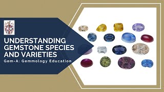 GemA Live Understanding Gemstone Species and Varieties [upl. by Rellek]