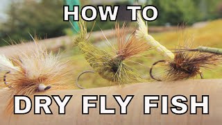 Dry Fly Fishing  How To with Tom Rosenbauer [upl. by Forkey]