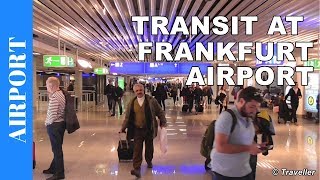 TRANSIT WALK AT FRANKFURT Airport FRA Terminal 1  Connection Flight Transfer Arriving amp Departing [upl. by Ycnej111]