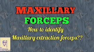 Dental Forceps  Maxillary forceps identification and use [upl. by Harehs]