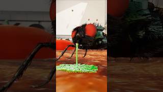 How Flies Eat Your Food [upl. by Eimirej327]