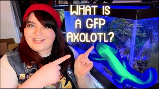 What is a GFP Axolotl [upl. by Alul527]