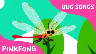 DDDDragonfly  Bug Songs  Pinkfong Songs for Children [upl. by Jarita]