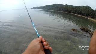 Tudela Camotes Island shore casting fishing caught good size CUDA [upl. by Angelina213]