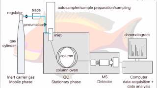 Strategies for GCMS Method Development [upl. by Minette477]